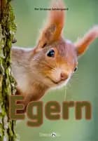 Egern af Per Straarup Søndergaard