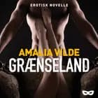 Grænseland af Amalia Vilde