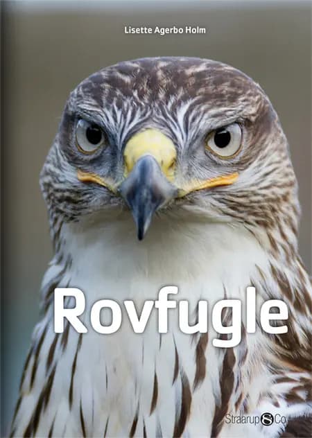 Rovfugle af Lisette Agerbo Holm