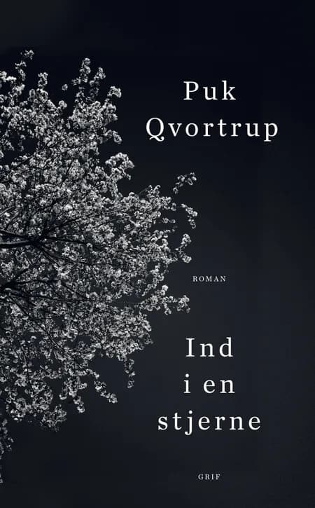 Ind i en stjerne af Puk Qvortrup