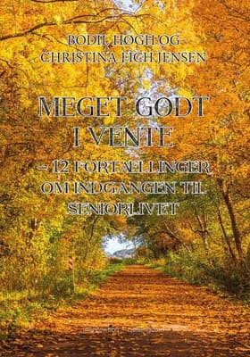 Meget godt i vente af Bodil Høgh