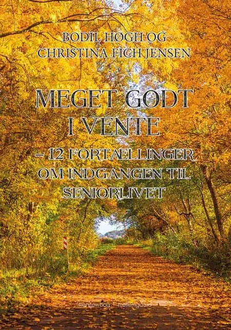 Meget godt i vente af Bodil Høgh