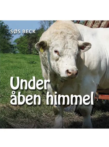 Under åben himmel af Søs Beck