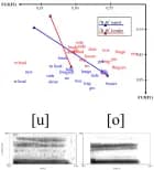 Vokalvariation i moderne dansk af Michael Bach Ipsen