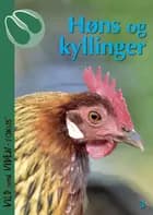 Høns og kyllinger