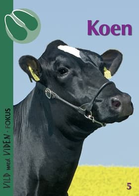 Koen af Henrik Baymler