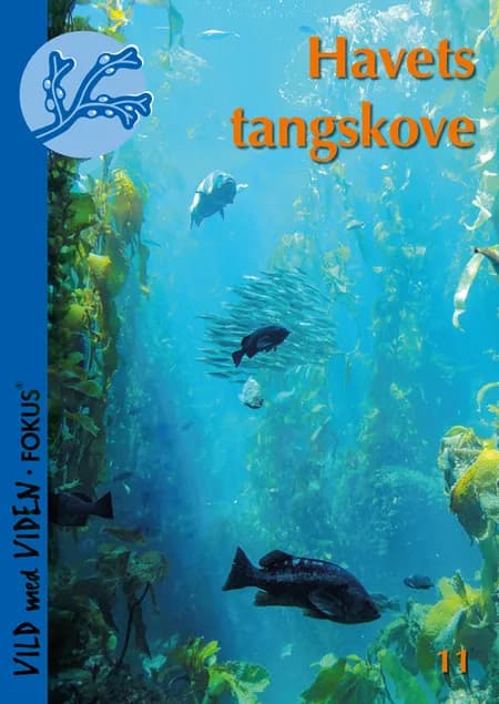 Havets tangskove af Dorte Krause Jensen