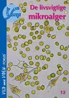 De livsvigtige mikroalger af Kathrine Richardson
