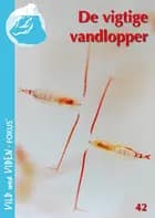 De livsvigtige vandlopper