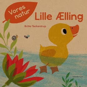Lille Ælling af Britta Teckentrup