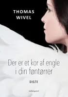 Der er et kor af engle i din føntørrer af Thomas Wivel
