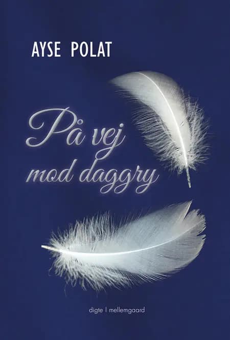 På vej mod daggry af Ayse Polat