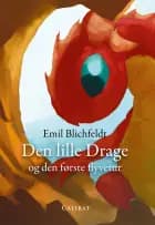 Den lille drage og den første flyvetur af Emil Blichfeldt