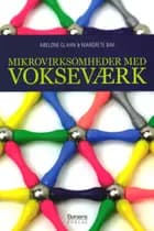 Mikrovirksomheder med vokseværk af Abelone Glahn og Margrete Bak