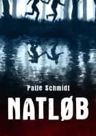 Natløb af Palle Schmidt