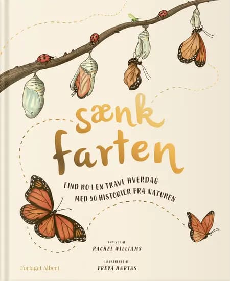 Sænk farten af Rachel Williams