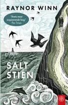 Saltstien
