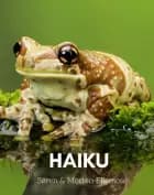 HAIKU af Søren Ellemose og Morten Ellemose