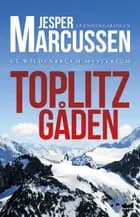 Toplitzgåden