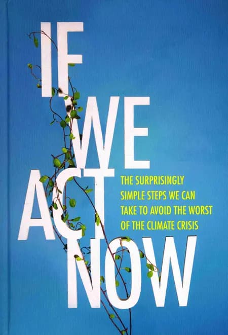 If We Act Now af Mads Nyvold