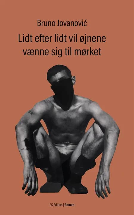 Lidt efter lidt vil øjnene vænne sig til mørket af Bruno Jovanović