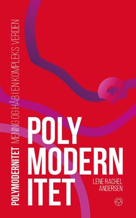 Polymodernitet af Lene Rachel Andersen