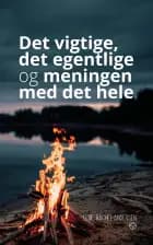 Det vigtige, det egentlige og meningen med det hele