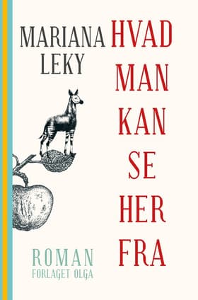 Hvad man kan se herfra af Mariana Leky