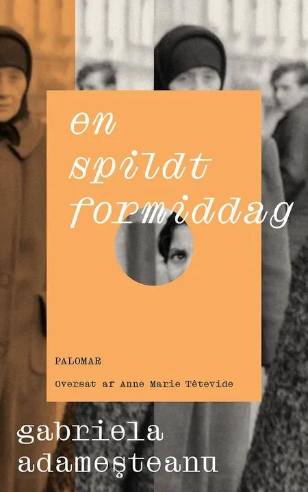 En spildt formiddag af Gabriela Adamesteanu