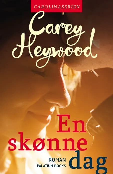 En skønne dag af Carey Heywood