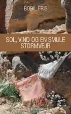 Sol, vind og en smule stormvejr