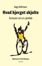 Hvad bjerget skjulte
