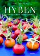 Hyben