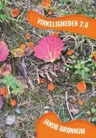 Virkeligheden 2.0
