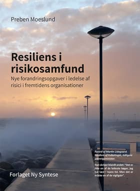 Resiliens i risikosamfund af Preben Moeslund