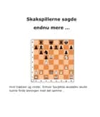 Skakspillerne sagde endnu mere