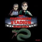 Det forbandede stadion af Nanna Kühle