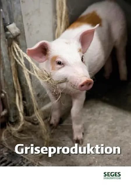 Griseproduktion af Andreas Vest Weber