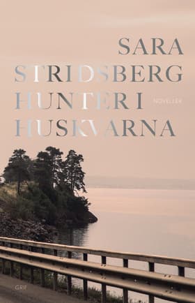 Hunter i Huskvarna af Sara Stridsberg