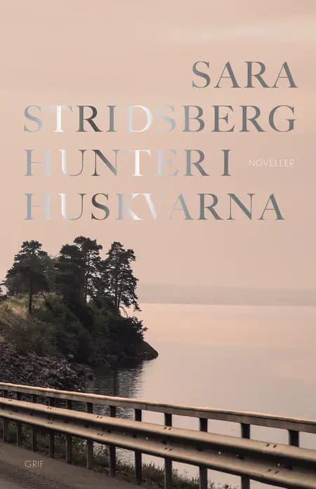 Hunter i Huskvarna af Sara Stridsberg
