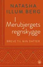 I MERUBJERGETS REGNSKYGGE