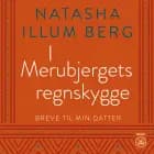 I MERUBJERGETS REGNSKYGGE