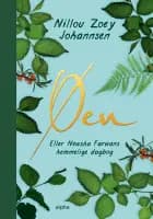 Øen