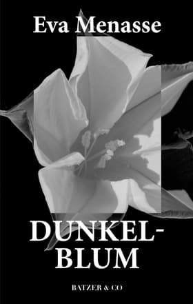 Dunkelblum af Eva Menasse