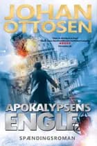 Apokalypsens engle - thriller #2 i Mirrin Bank-trilogien af Johan Ottosen