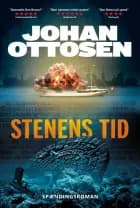 Stenens tid af Johan Ottosen