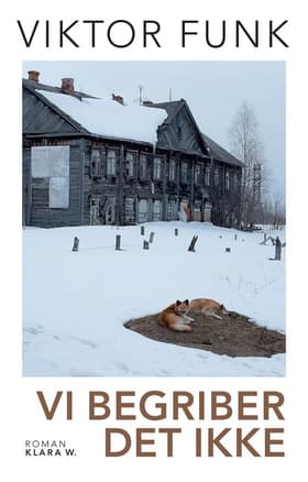 Vi begriber det ikke af VIKTOR FUNK