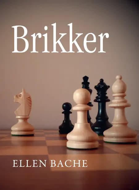 Brikker af Ellen Bache