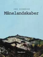Månelandskaber af Jens Rosenbirk