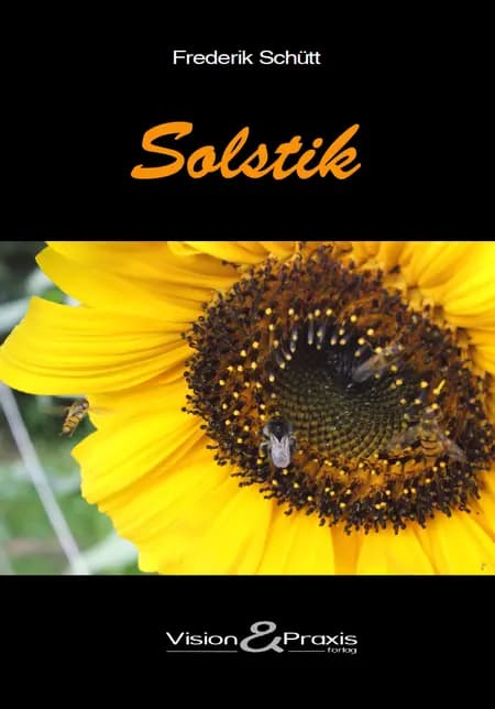 Solstik af Frederik Schütt